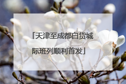 天津至成都白货城际班列顺利首发