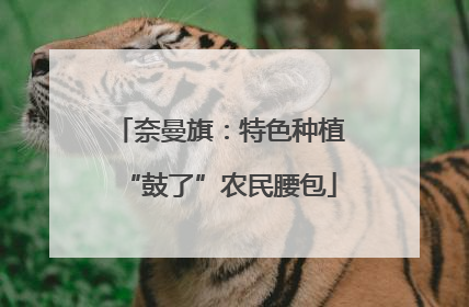 奈曼旗：特色种植“鼓了”农民腰包