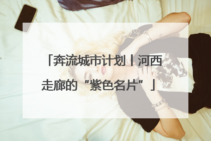 奔流城市计划丨河西走廊的“紫色名片”