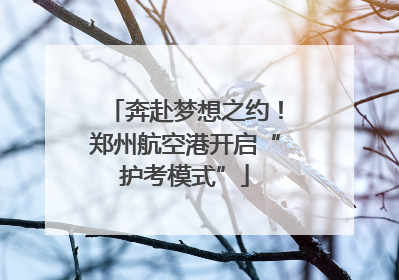 奔赴梦想之约！郑州航空港开启“护考模式”