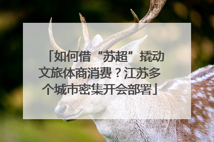 如何借“苏超”撬动文旅体商消费？江苏多个城市密集开会部署