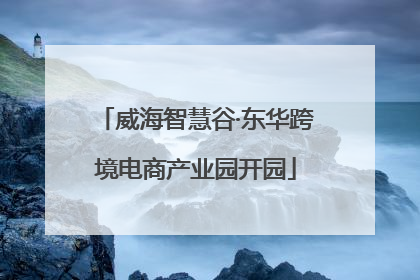 威海智慧谷·东华跨境电商产业园开园
