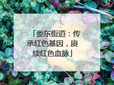 娄东街道：传承红色基因，赓续红色血脉