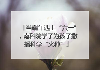 当端午遇上“六一”，南科院学子为孩子撒播科学“火种”