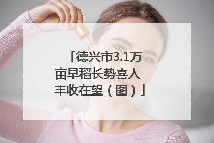 德兴市3.1万亩早稻长势喜人 丰收在望（图）