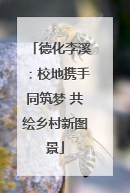 德化李溪：校地携手同筑梦 共绘乡村新图景