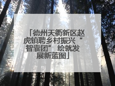 德州天衢新区赵虎镇聘乡村振兴“智囊团” 绘就发展新蓝图