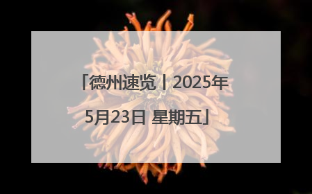 德州速览丨2025年5月23日 星期五