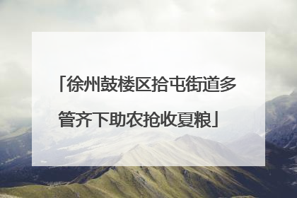徐州鼓楼区拾屯街道多管齐下助农抢收夏粮