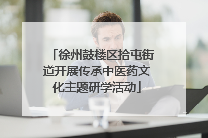 徐州鼓楼区拾屯街道开展传承中医药文化主题研学活动