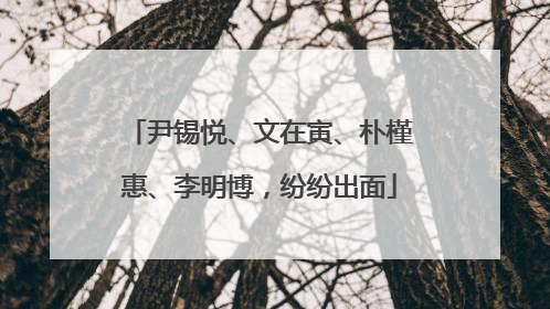 尹锡悦、文在寅、朴槿惠、李明博，纷纷出面