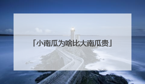 小南瓜为啥比大南瓜贵