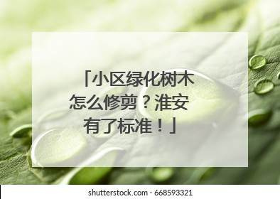 小区绿化树木怎么修剪？淮安有了标准！
