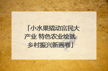 小水果撬动富民大产业 特色农业绘就乡村振兴新画卷