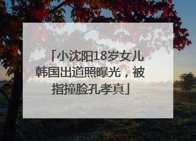 小沈阳18岁女儿韩国出道照曝光，被指撞脸孔孝真