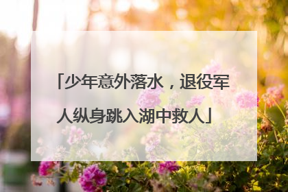 少年意外落水，退役军人纵身跳入湖中救人