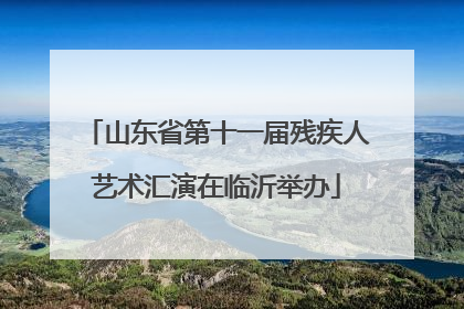 山东省第十一届残疾人艺术汇演在临沂举办