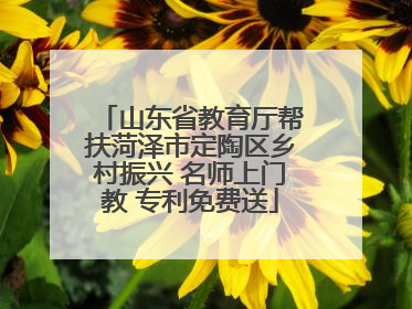 山东省教育厅帮扶菏泽市定陶区乡村振兴 名师上门教 专利免费送