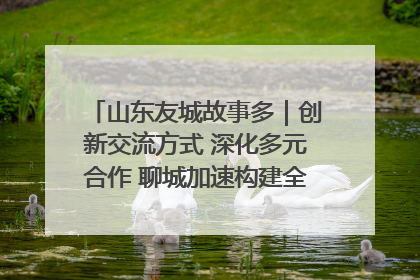 山东友城故事多｜创新交流方式 深化多元合作 聊城加速构建全球友城新格局