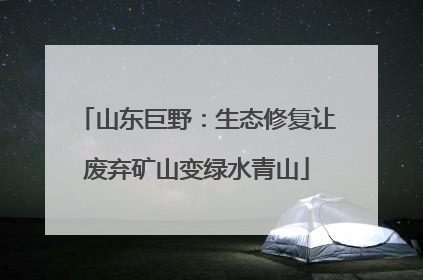山东巨野：生态修复让废弃矿山变绿水青山