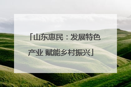 山东惠民：发展特色产业 赋能乡村振兴
