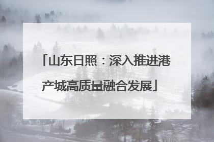 山东日照：深入推进港产城高质量融合发展