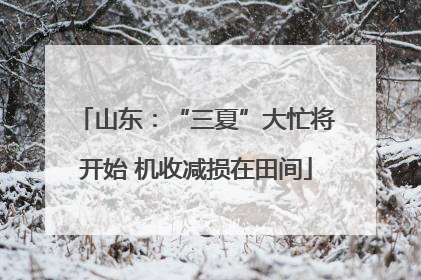 山东：“三夏”大忙将开始 机收减损在田间