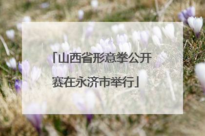 山西省形意拳公开赛在永济市举行
