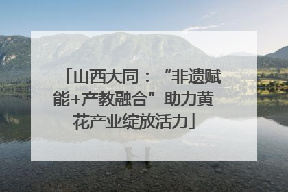 山西大同：“非遗赋能+产教融合”助力黄花产业绽放活力