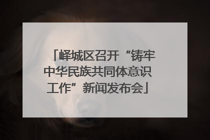 峄城区召开“铸牢中华民族共同体意识工作”新闻发布会