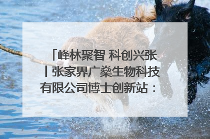 峰林聚智 科创兴张丨张家界广燊生物科技有限公司博士创新站：立足生态优势 激活“绿色宝藏”