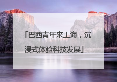 巴西青年来上海，沉浸式体验科技发展