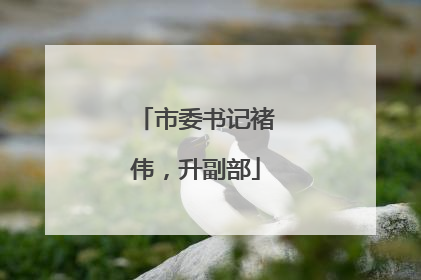 市委书记褚伟，升副部
