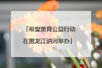 希望美育公益行动在黑龙江讷河举办