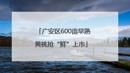 广安区600亩早熟黄桃抢“鲜”上市
