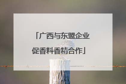 广西与东盟企业促香料香精合作