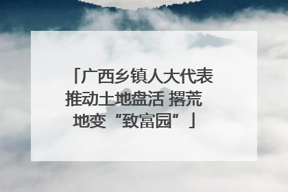 广西乡镇人大代表推动土地盘活 撂荒地变“致富园”