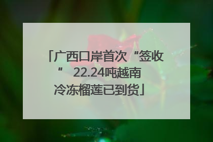 广西口岸首次“签收” 22.24吨越南冷冻榴莲已到货