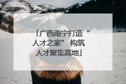 广西南宁打造“人才之家” 构筑人才聚集高地