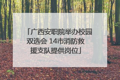 广西安职院举办校园双选会 14市消防救援支队提供岗位