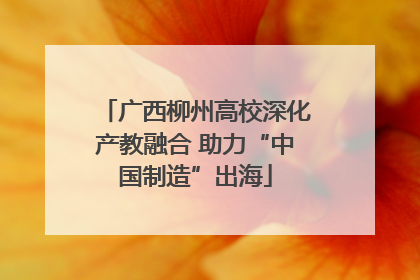 广西柳州高校深化产教融合 助力“中国制造”出海