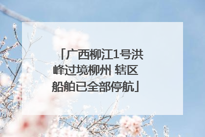 广西柳江1号洪峰过境柳州 辖区船舶已全部停航