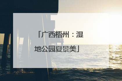 广西梧州：湿地公园夏景美