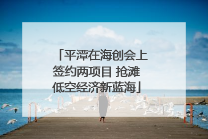 平潭在海创会上签约两项目 抢滩低空经济新蓝海