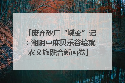 废弃砂厂“蝶变”记：湘阴中麻贝乐谷绘就农文旅融合新画卷