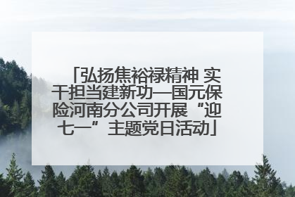 弘扬焦裕禄精神 实干担当建新功—国元保险河南分公司开展“迎七一”主题党日活动