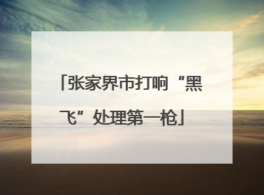 张家界市打响“黑飞”处理第一枪