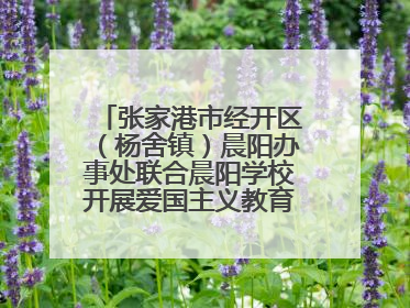 张家港市经开区（杨舍镇）晨阳办事处联合晨阳学校开展爱国主义教育主题升旗活动