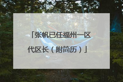 张帆已任福州一区代区长（附简历）