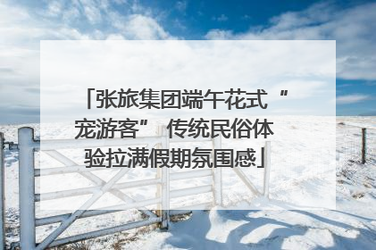 张旅集团端午花式“宠游客” 传统民俗体验拉满假期氛围感